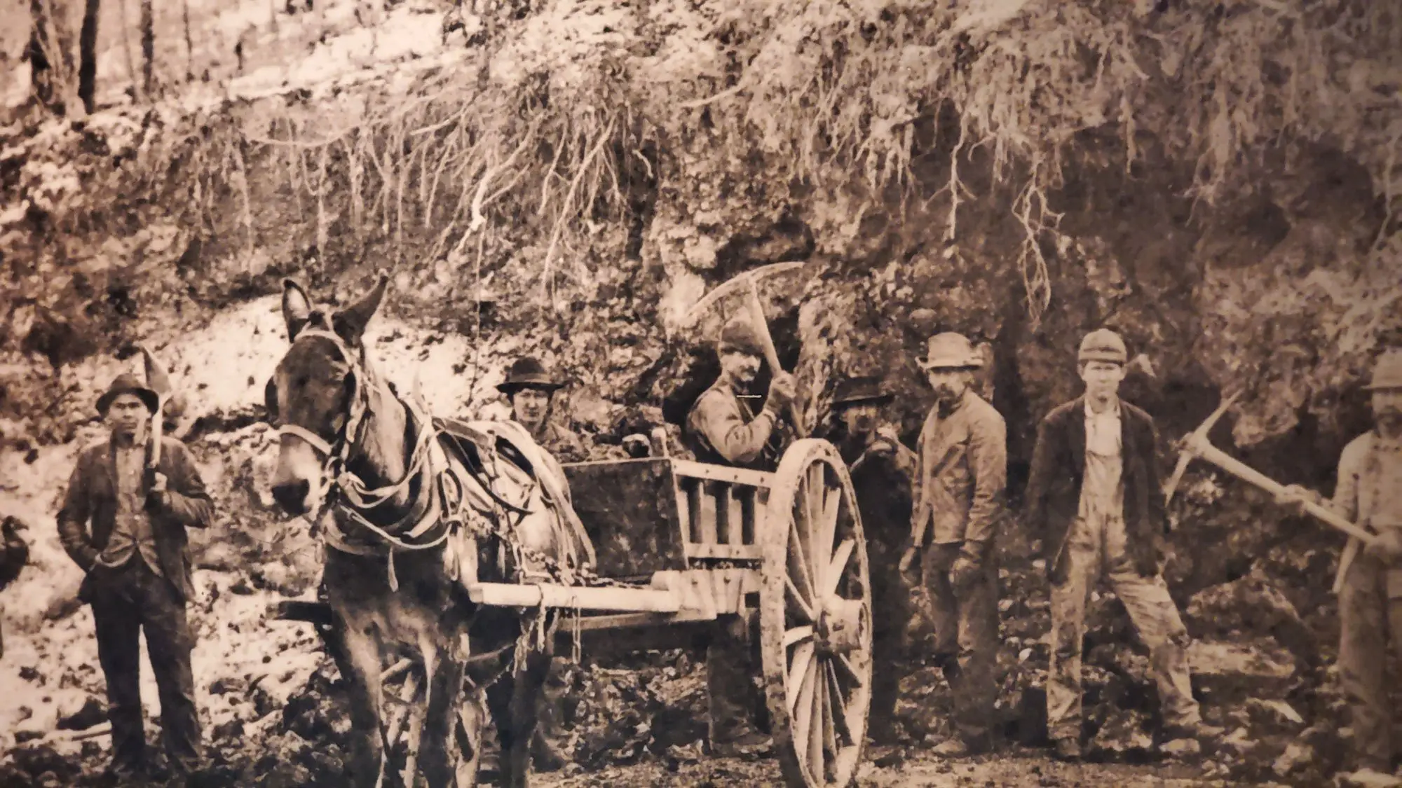 Black and white photo of saltpeter mining workers standing around with pitchforks and shovels